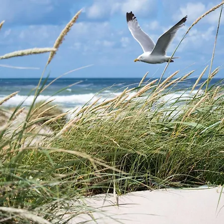 Apartamento Duplex In With Stunning Sea Views Knokke-Heist